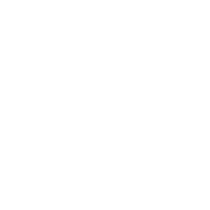 Insulation Piercing Connector(CT/PGC/PGH)